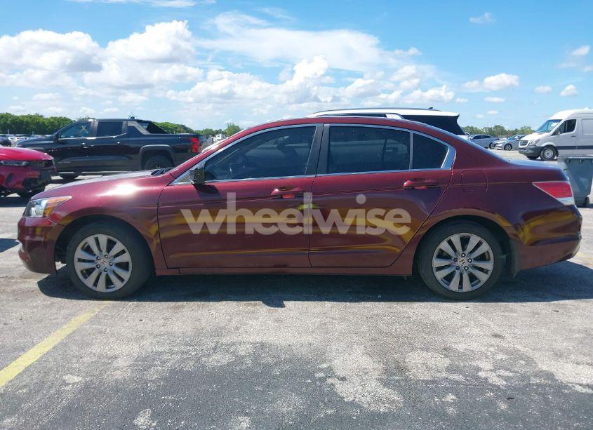 Photo 14 of 2011 Honda Accord 2.4 EX-L (VIN 1HGCP2F87BA057022)