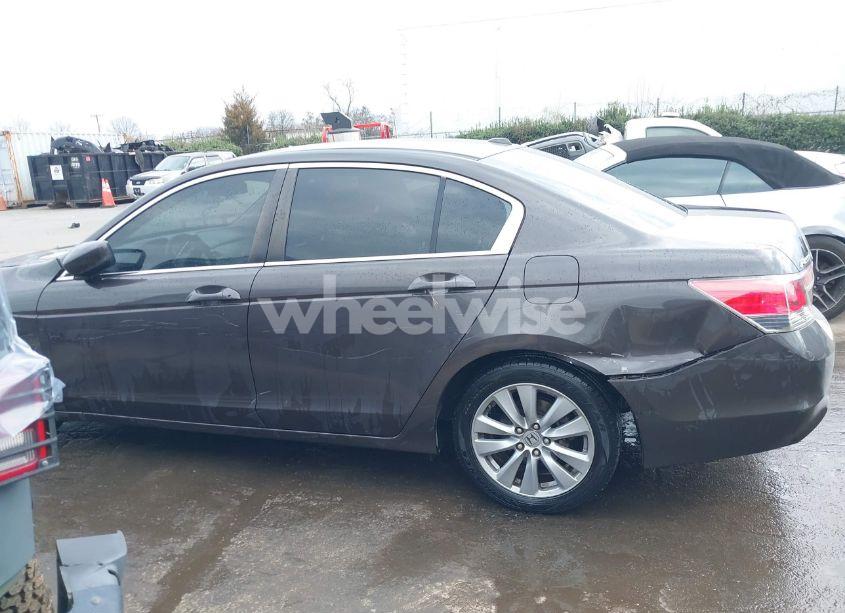 Photo 14 of 2011 Honda Accord 2.4 EX-L (VIN 1HGCP2F87BA088223)