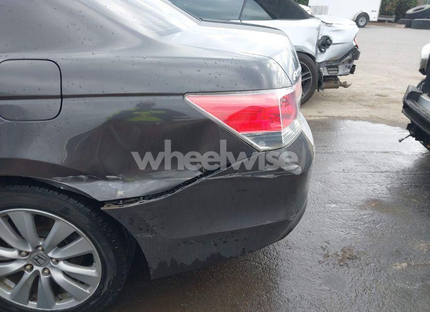 Photo 17 of 2011 Honda Accord 2.4 EX-L (VIN 1HGCP2F87BA088223)