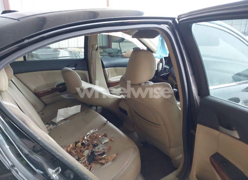 Photo 8 of 2011 Honda Accord 2.4 EX-L (VIN 1HGCP2F87BA119776)