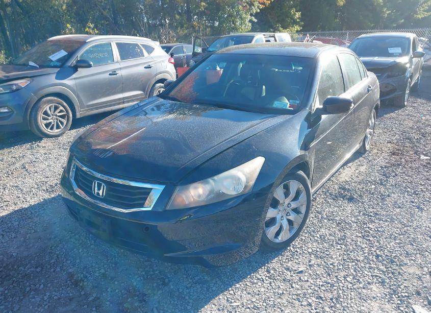 Photo 6 of 2010 Honda Accord 2.4 EX-L (VIN 1HGCP2F88AA014355)