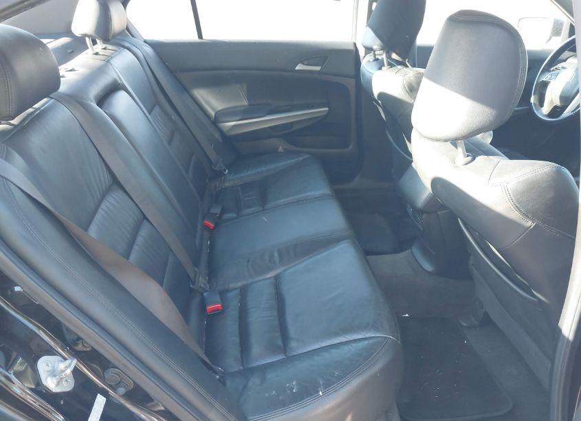 Photo 8 of 2010 Honda Accord 2.4 EX-L (VIN 1HGCP2F88AA014355)