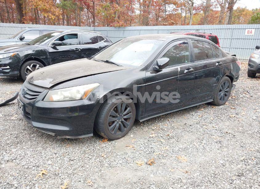 Photo 2 of 2011 Honda Accord 2.4 EX-L (VIN 1HGCP2F88BA010047)