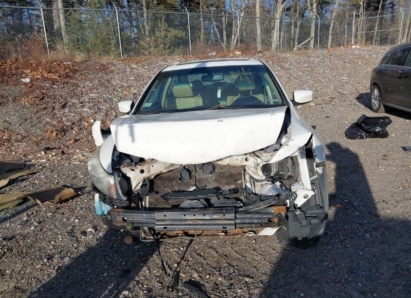 Photo 13 of 2011 Honda Accord 2.4 EX-L (VIN 1HGCP2F88BA018567)