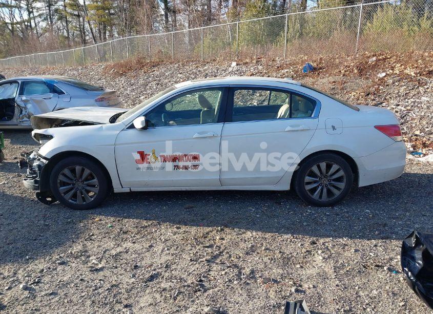 Photo 15 of 2011 Honda Accord 2.4 EX-L (VIN 1HGCP2F88BA018567)