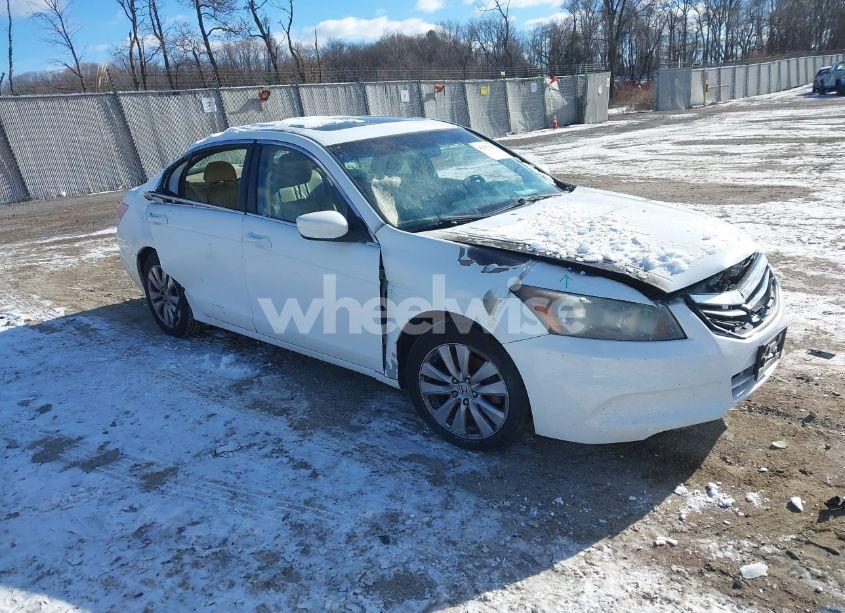2011 Honda Accord 2.4 EX-L (VIN 1HGCP2F88BA053125) main photo
