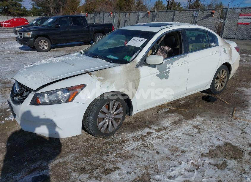Photo 2 of 2011 Honda Accord 2.4 EX-L (VIN 1HGCP2F88BA053125)