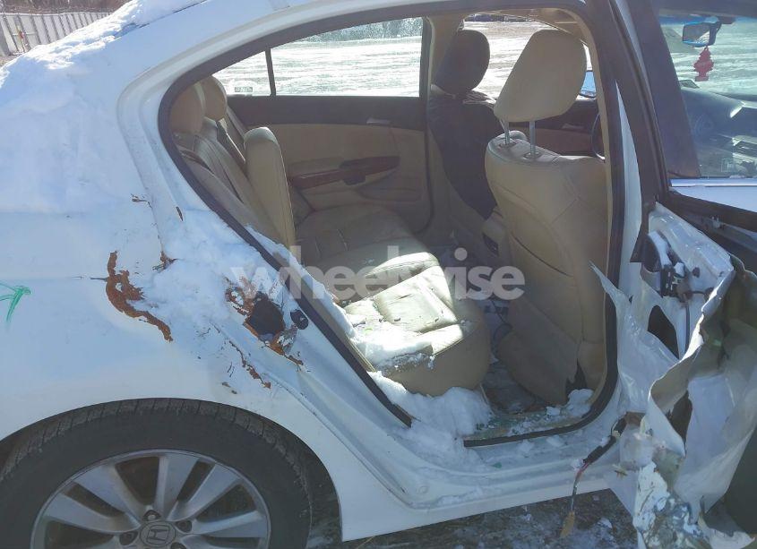 Photo 8 of 2011 Honda Accord 2.4 EX-L (VIN 1HGCP2F88BA053125)