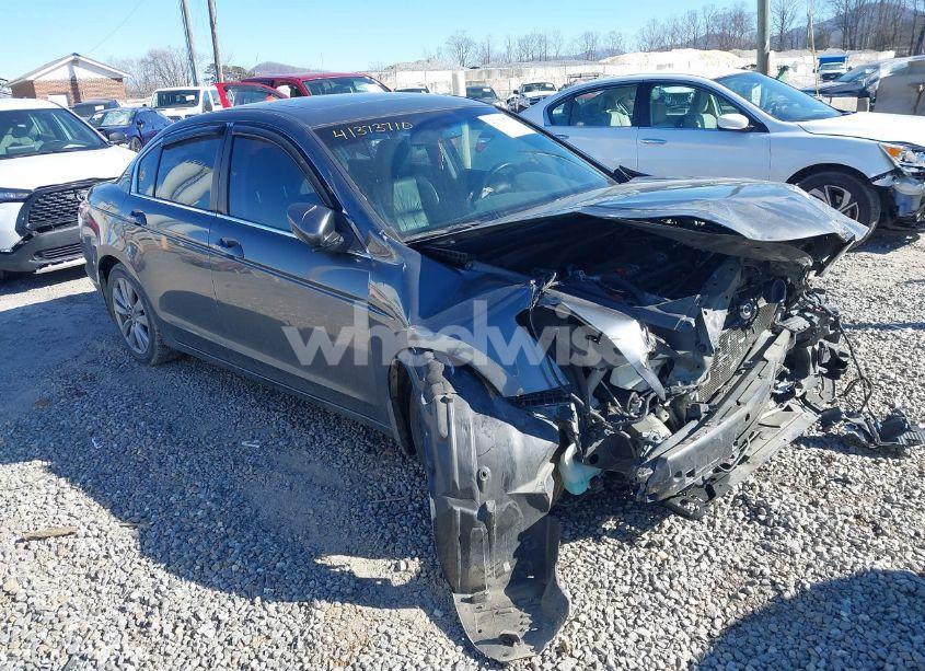2011 Honda Accord 2.4 EX-L (VIN 1HGCP2F88BA085749) main photo