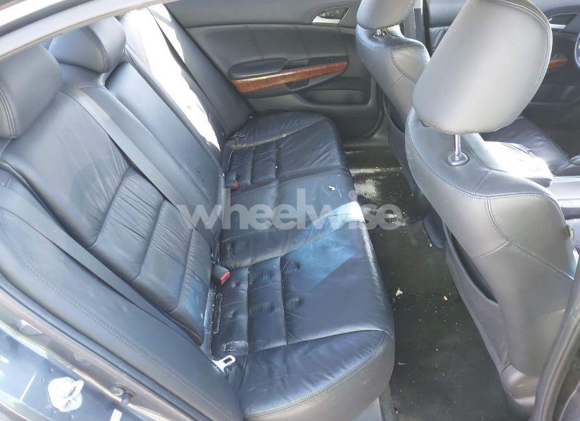 Photo 8 of 2011 Honda Accord 2.4 EX-L (VIN 1HGCP2F88BA085749)