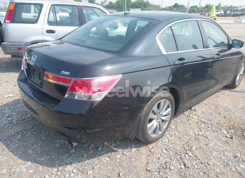 Photo 4 of 2011 Honda Accord 2.4 EX-L (VIN 1HGCP2F88BA136697)