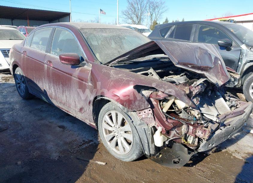 2011 Honda Accord 2.4 EX-L (VIN 1HGCP2F88BA154598) main photo