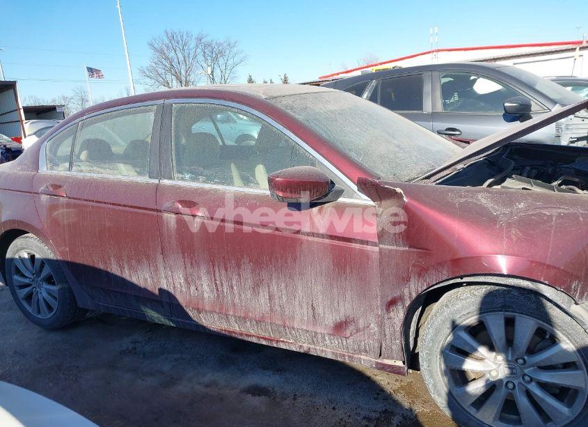 Photo 13 of 2011 Honda Accord 2.4 EX-L (VIN 1HGCP2F88BA154598)