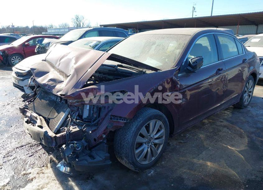 Photo 2 of 2011 Honda Accord 2.4 EX-L (VIN 1HGCP2F88BA154598)