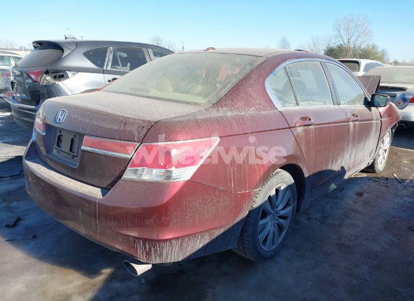 Photo 4 of 2011 Honda Accord 2.4 EX-L (VIN 1HGCP2F88BA154598)