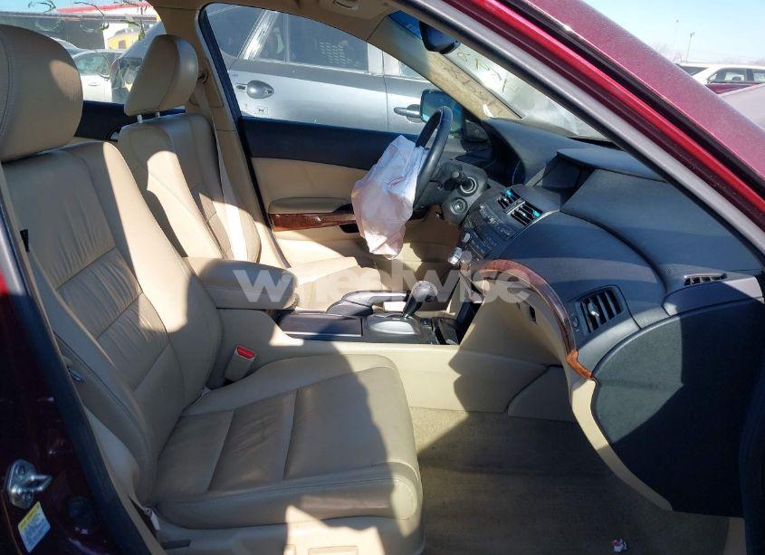 Photo 5 of 2011 Honda Accord 2.4 EX-L (VIN 1HGCP2F88BA154598)