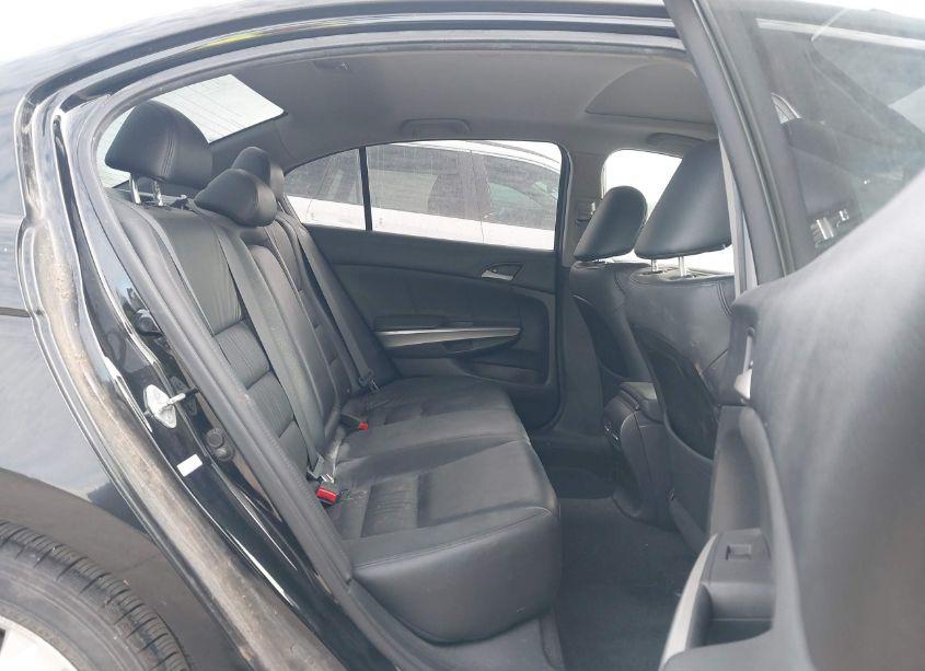 Photo 8 of 2010 Honda Accord 2.4 EX-L (VIN 1HGCP2F89AA170744)