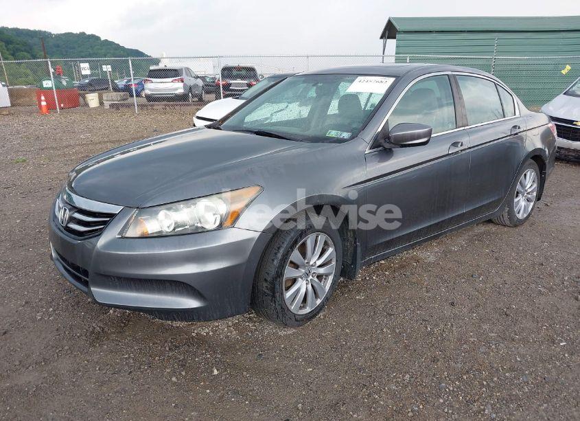 Photo 2 of 2011 Honda Accord 2.4 EX-L (VIN 1HGCP2F89BA013037)