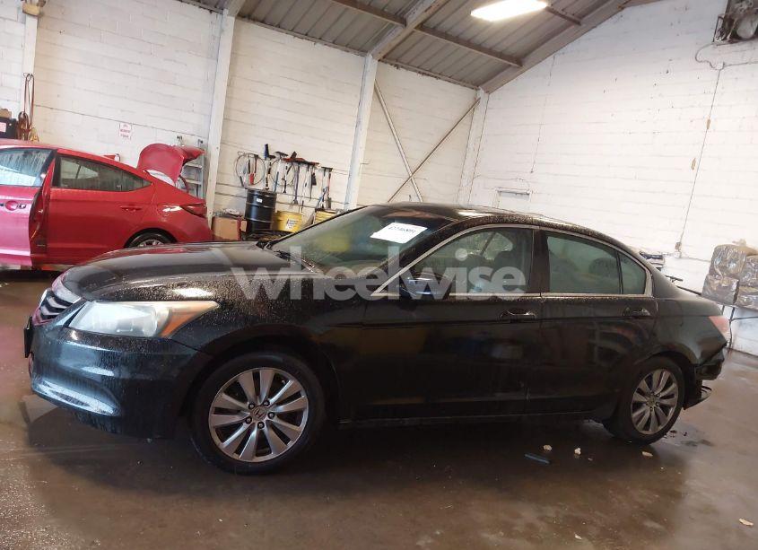 Photo 14 of 2011 Honda Accord 2.4 EX-L (VIN 1HGCP2F89BA100162)