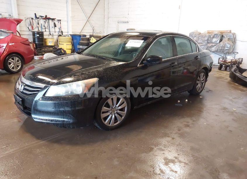 Photo 2 of 2011 Honda Accord 2.4 EX-L (VIN 1HGCP2F89BA100162)