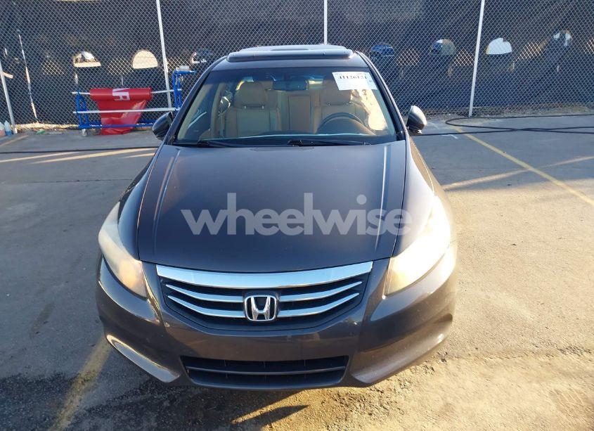 Photo 12 of 2012 Honda Accord EXL (VIN 1HGCP2F89CA032589)