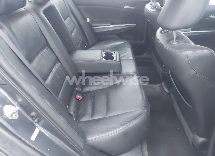 Photo 8 of 2010 Honda Accord 2.4 EX-L (VIN 1HGCP2F8XAA004202)