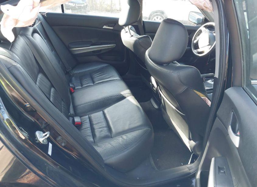 Photo 8 of 2010 Honda Accord 2.4 EX-L (VIN 1HGCP2F8XAA093463)