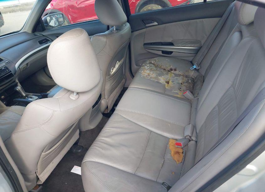 Photo 8 of 2010 Honda Accord 2.4 EX-L (VIN 1HGCP2F8XAA103960)