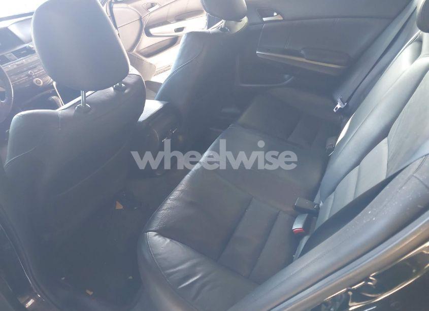 Photo 8 of 2010 Honda Accord 2.4 EX-L (VIN 1HGCP2F8XAA115736)