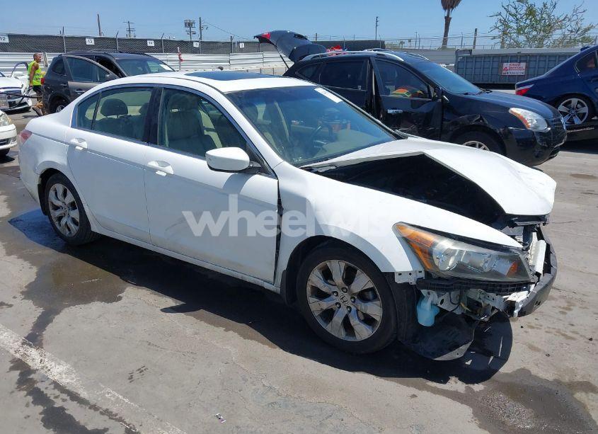 2010 Honda Accord 2.4 EX-L (VIN 1HGCP2F8XAA156013) main photo