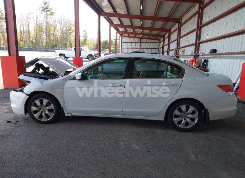 Photo 14 of 2010 Honda Accord 2.4 EX-L (VIN 1HGCP2F8XAA159218)