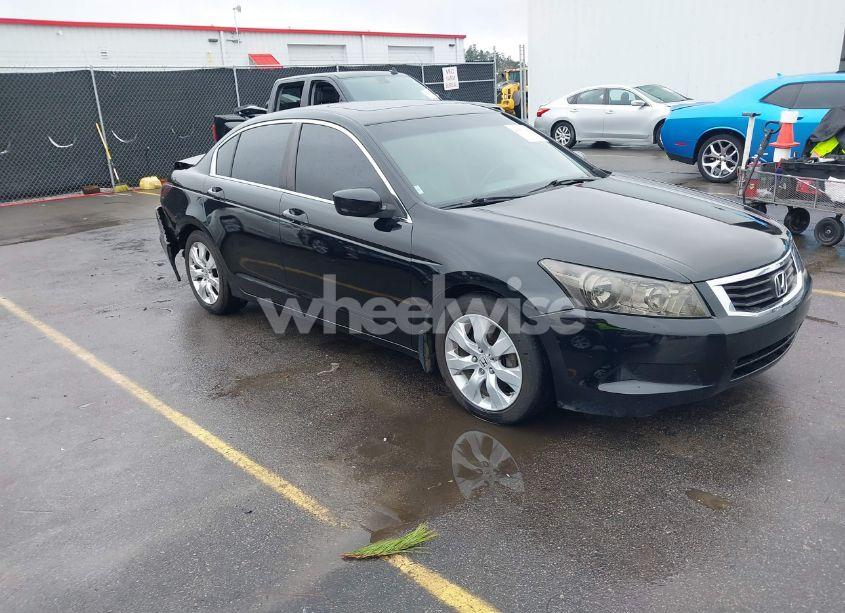 2010 Honda Accord 2.4 EX-L (VIN 1HGCP2F8XAA168369) main photo