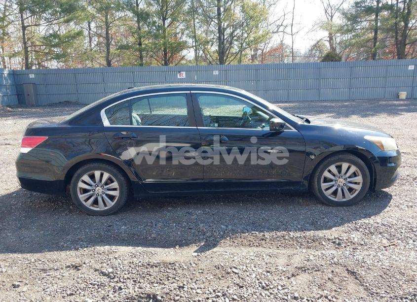 Photo 13 of 2011 Honda Accord 2.4 EX-L (VIN 1HGCP2F8XBA011667)