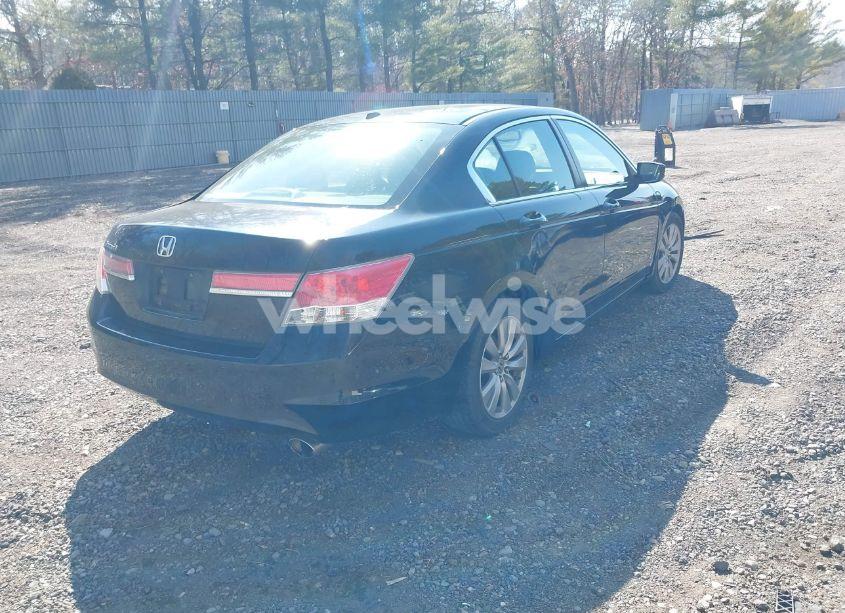 Photo 4 of 2011 Honda Accord 2.4 EX-L (VIN 1HGCP2F8XBA011667)