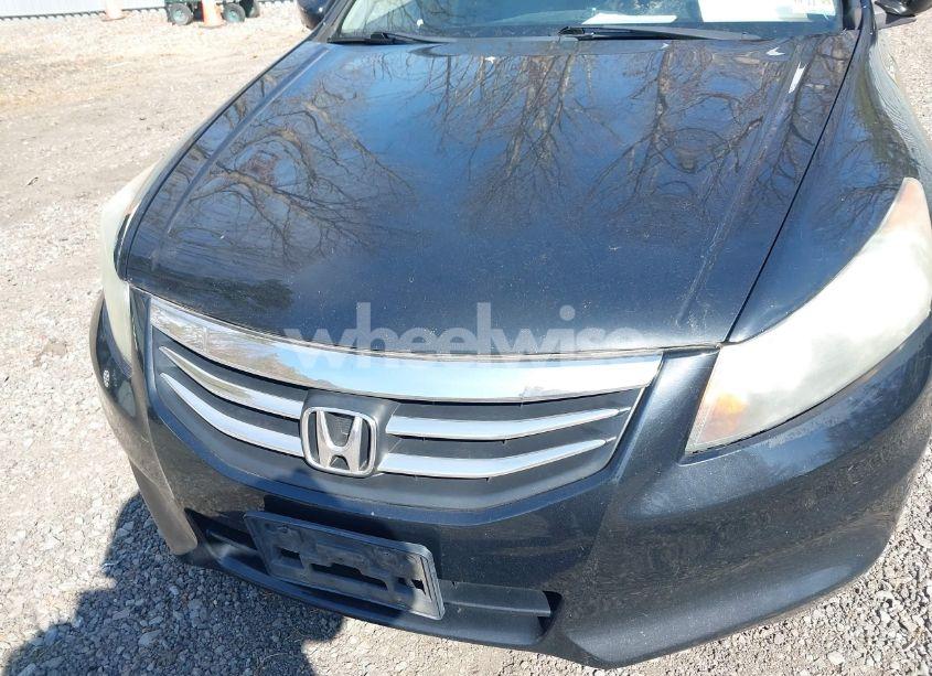 Photo 6 of 2011 Honda Accord 2.4 EX-L (VIN 1HGCP2F8XBA011667)