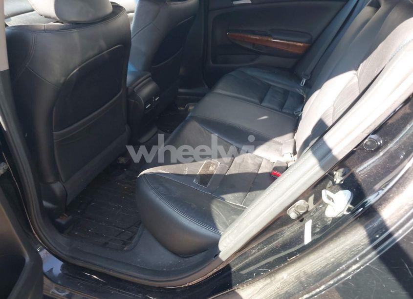Photo 8 of 2011 Honda Accord 2.4 EX-L (VIN 1HGCP2F8XBA011667)