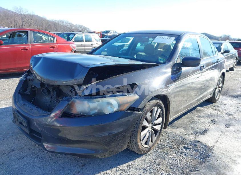 Photo 6 of 2011 Honda Accord 2.4 EX-L (VIN 1HGCP2F8XBA026959)