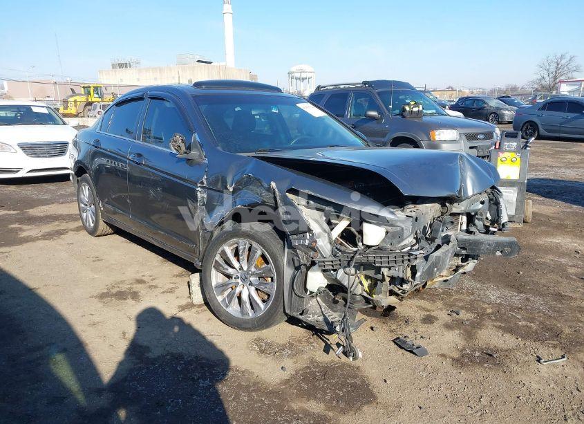 2011 Honda Accord 2.4 EX-L (VIN 1HGCP2F8XBA032566) main photo