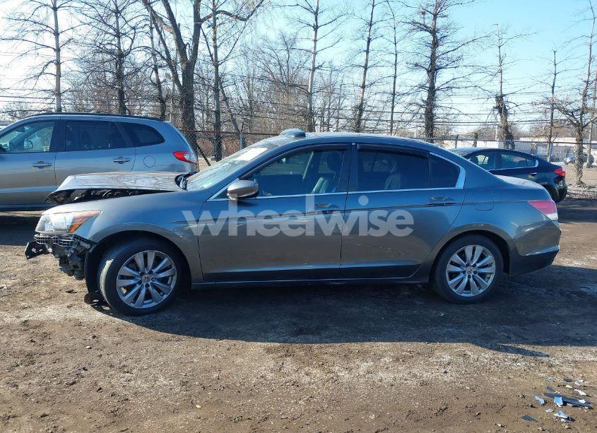 Photo 14 of 2011 Honda Accord 2.4 EX-L (VIN 1HGCP2F8XBA032566)