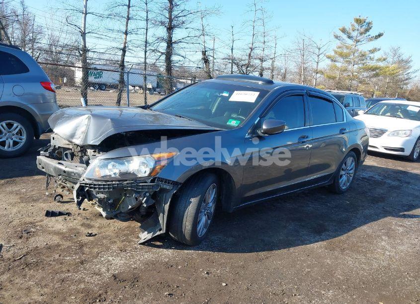 Photo 2 of 2011 Honda Accord 2.4 EX-L (VIN 1HGCP2F8XBA032566)