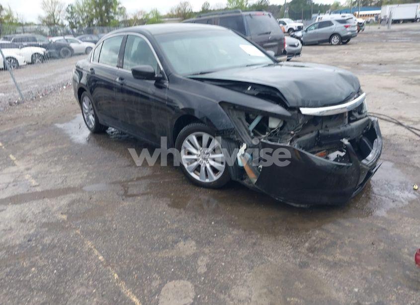2011 Honda Accord 2.4 EX-L (VIN 1HGCP2F8XBA036374) main photo