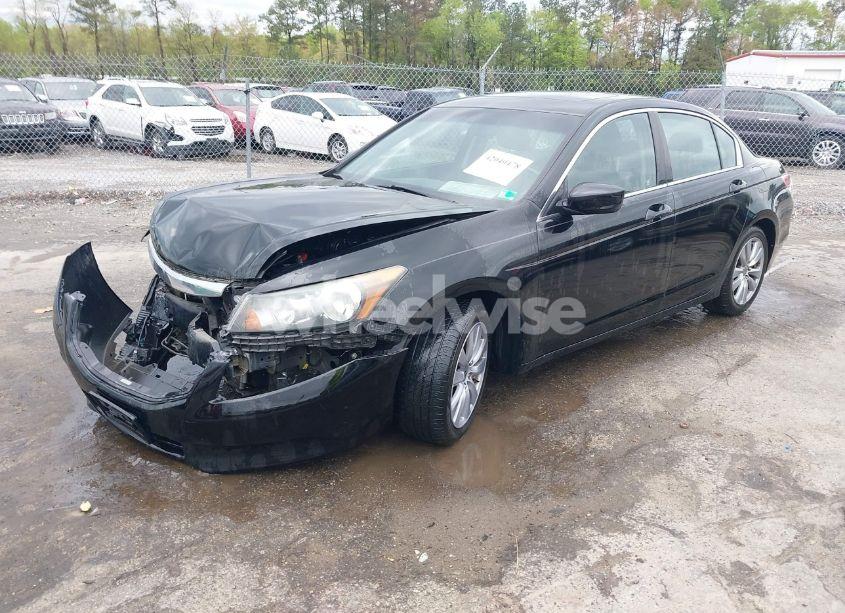 Photo 2 of 2011 Honda Accord 2.4 EX-L (VIN 1HGCP2F8XBA036374)