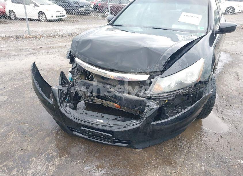 Photo 6 of 2011 Honda Accord 2.4 EX-L (VIN 1HGCP2F8XBA036374)