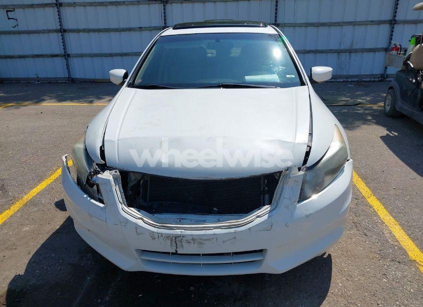 Photo 12 of 2011 Honda Accord 2.4 EX-L (VIN 1HGCP2F8XBA803592)