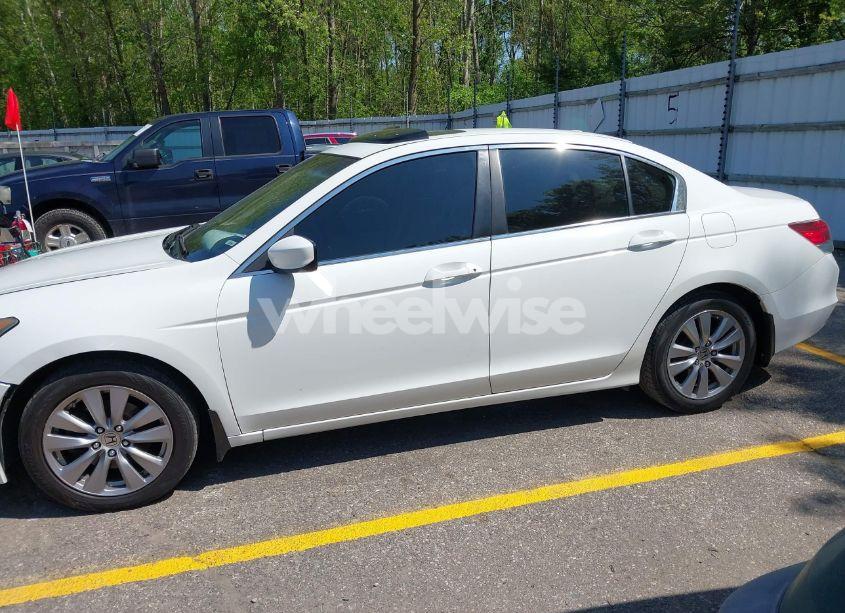 Photo 14 of 2011 Honda Accord 2.4 EX-L (VIN 1HGCP2F8XBA803592)