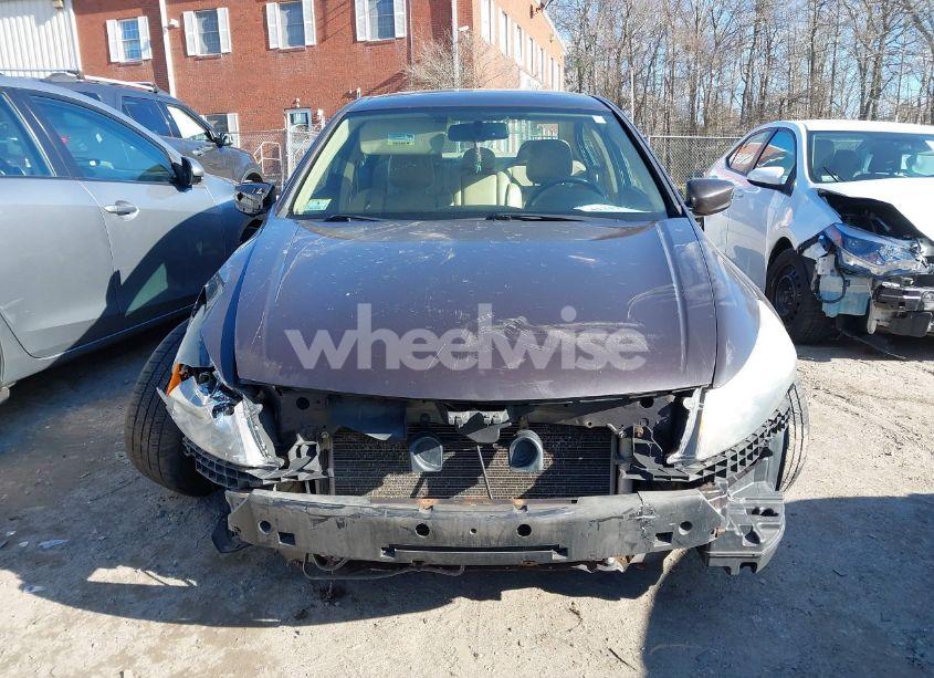 Photo 13 of 2012 Honda Accord 2.4 EX-L (VIN 1HGCP2F8XCA081526)