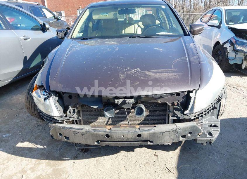 Photo 6 of 2012 Honda Accord 2.4 EX-L (VIN 1HGCP2F8XCA081526)
