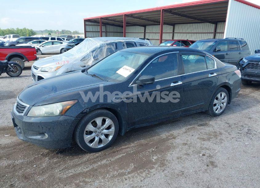 Photo 12 of 2008 Honda Accord 3.5 EX (VIN 1HGCP36748A007782)