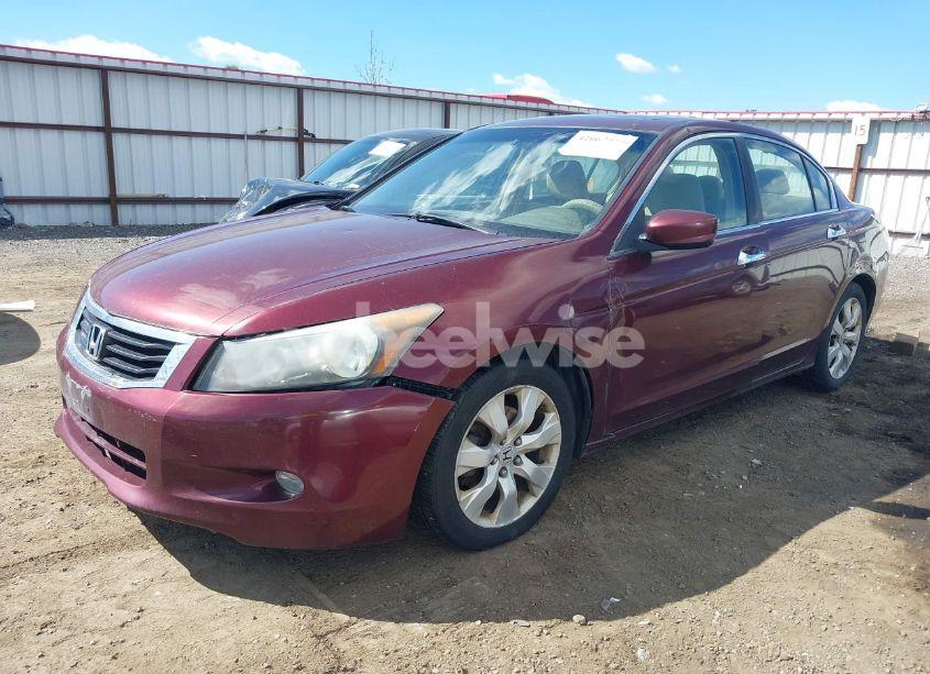 Photo 2 of 2008 Honda Accord 3.5 EX (VIN 1HGCP36758A011517)