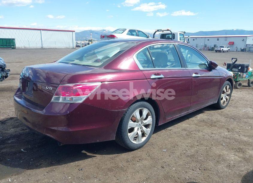 Photo 4 of 2008 Honda Accord 3.5 EX (VIN 1HGCP36758A011517)